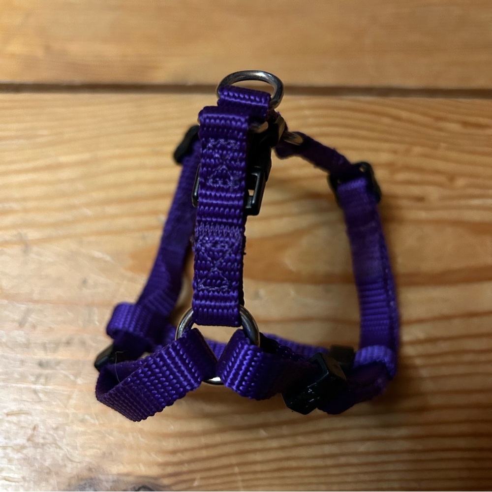 🔥5 for $20 - Tiny Harness